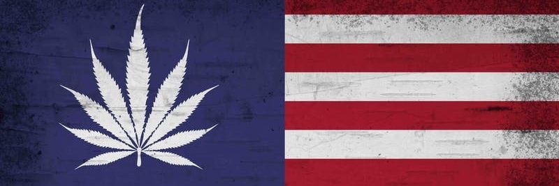 Hooterville Tom banner