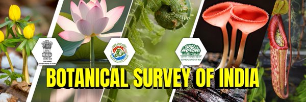 bsi_moefcc Profile Banner