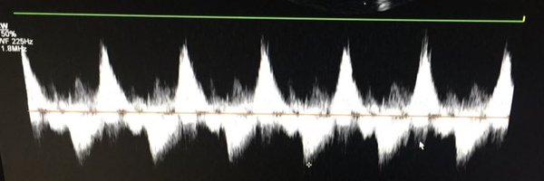 lukasz_zydzik Profile Banner