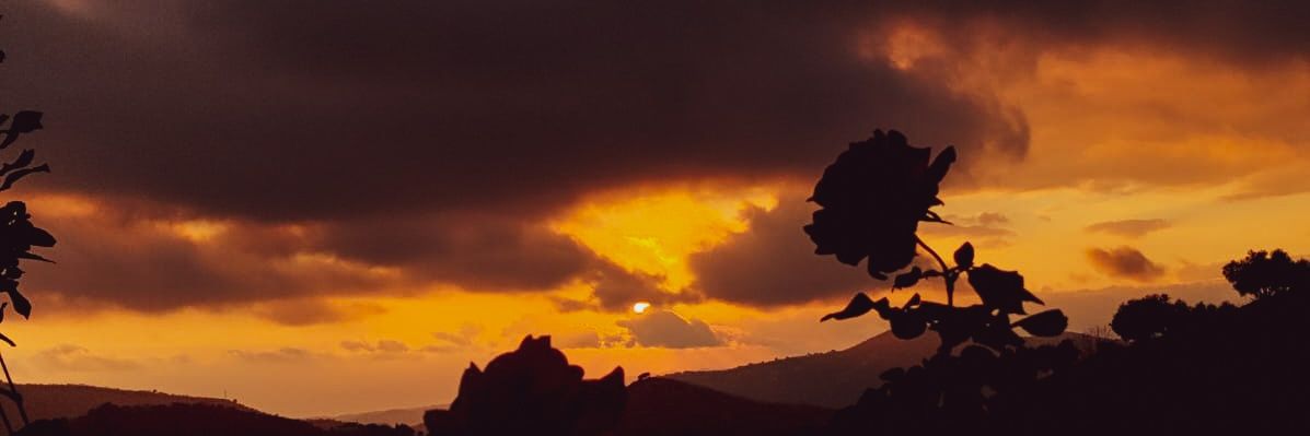 Roko banner
