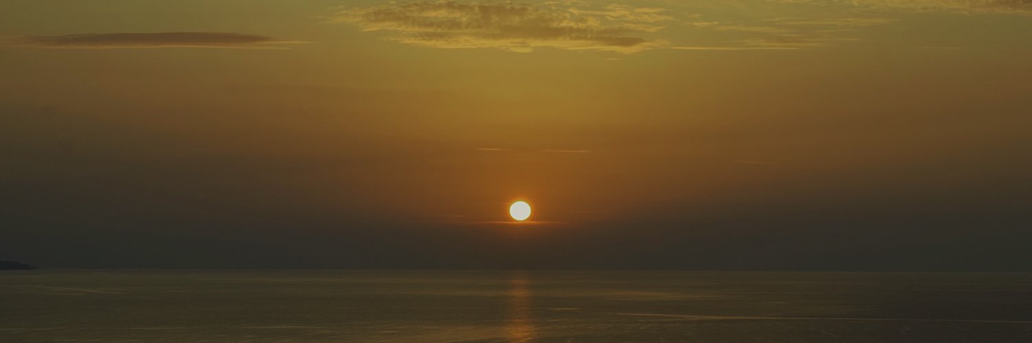 MusaIndigo's profile banner image