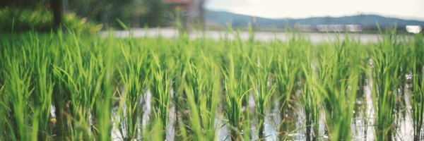 spookymcr Profile Banner