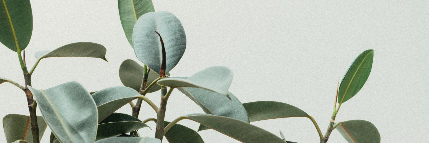 Lorena Psicología banner