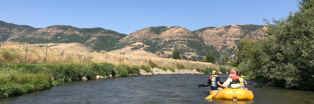 Matthew Broha banner