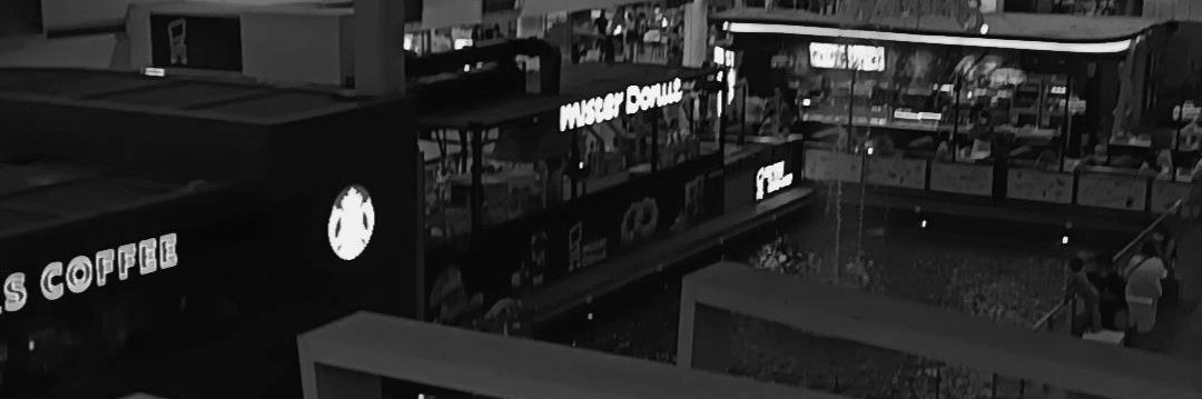 ไอเลิฟเมะหมา(Apo) banner