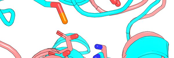 BlowerLab Profile Banner