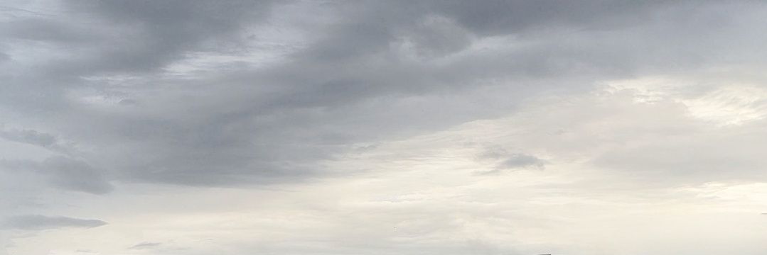 ⊹₊夜🌸₊⁺ banner