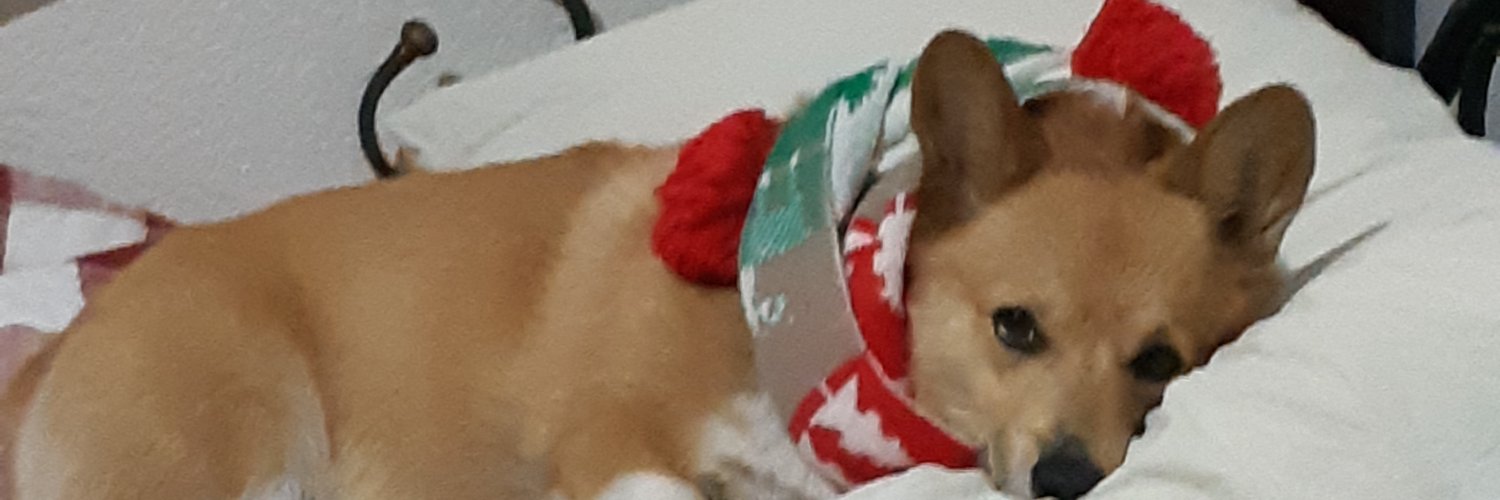 berenamb's profile banner image