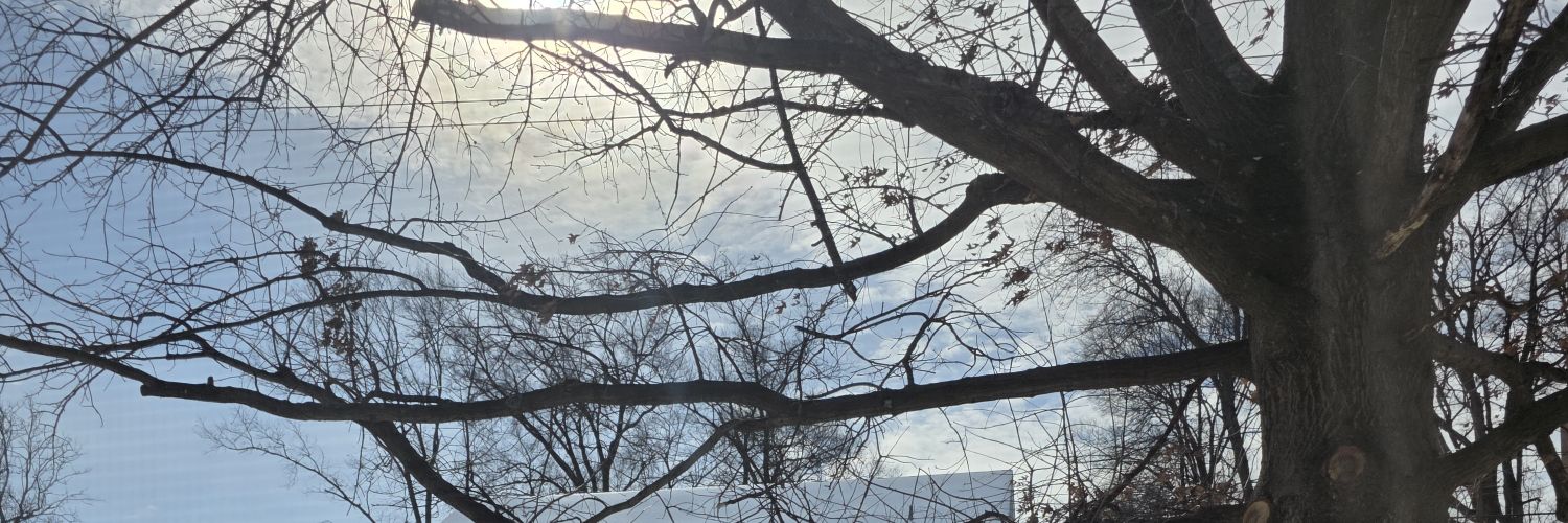 amnakm's profile banner image