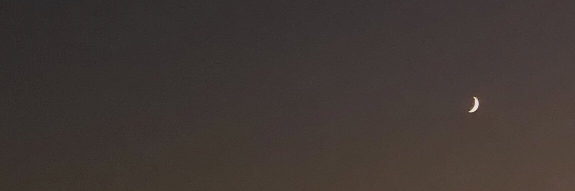 C H E E K Y banner