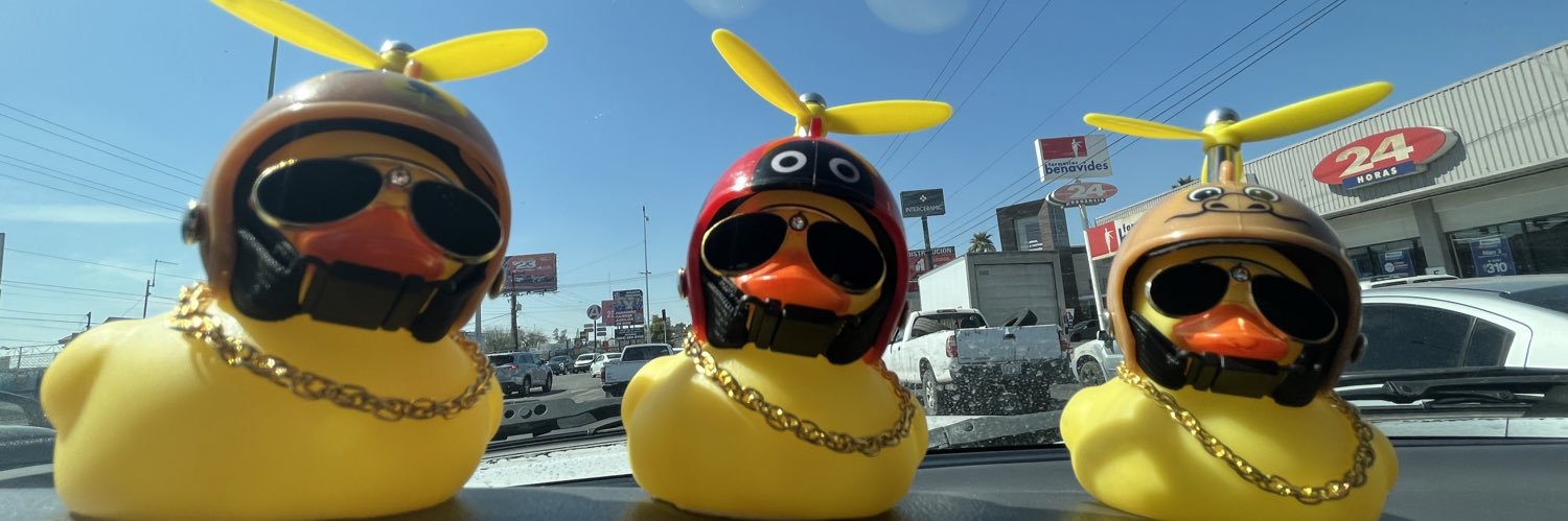 Srita. Cometa banner