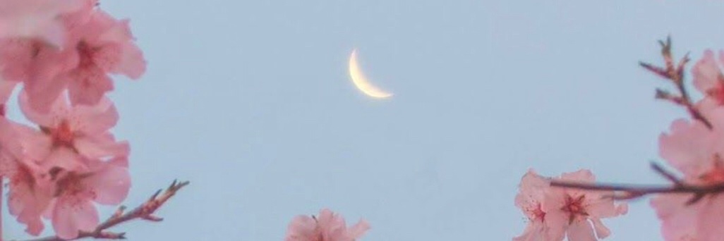 . banner