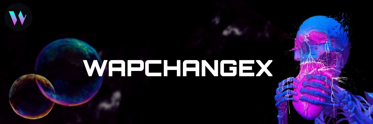 0xwapchangex banner