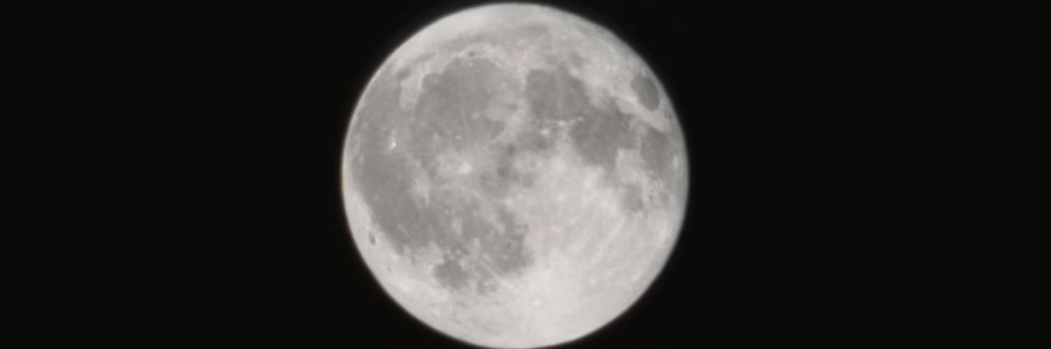 moondaughter_2's profile banner image
