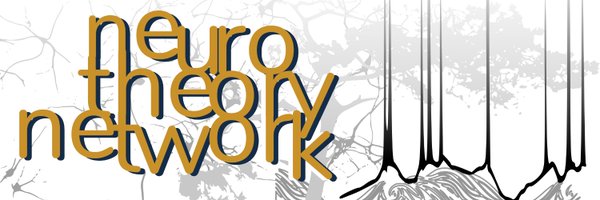 Neuro Theory Network Profile Banner