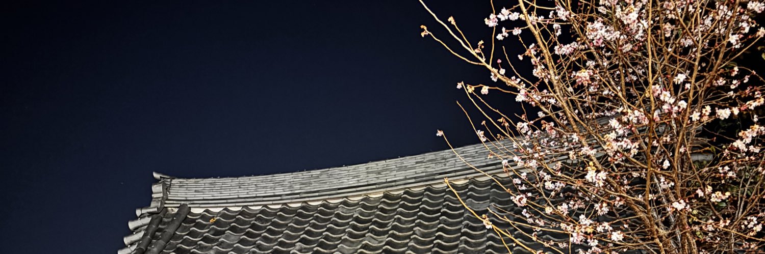 リサ🥀 banner
