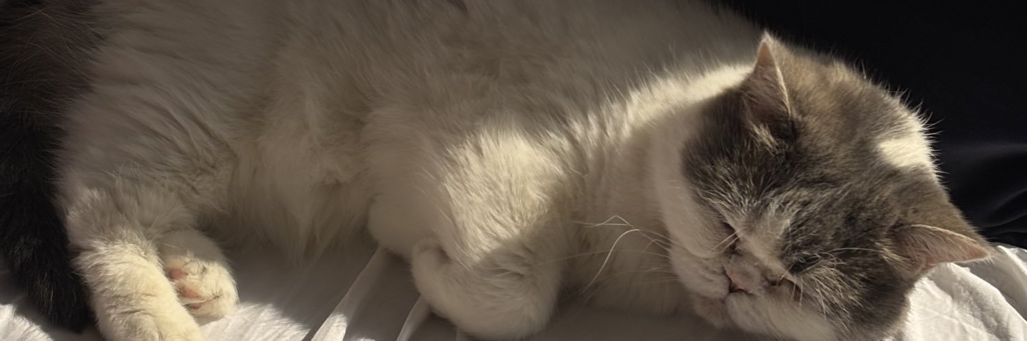 LeoVenus__'s profile banner image