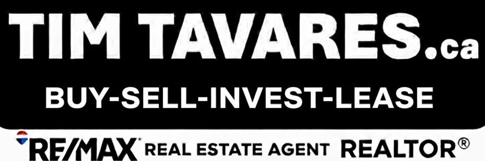 TimTavares's profile banner image