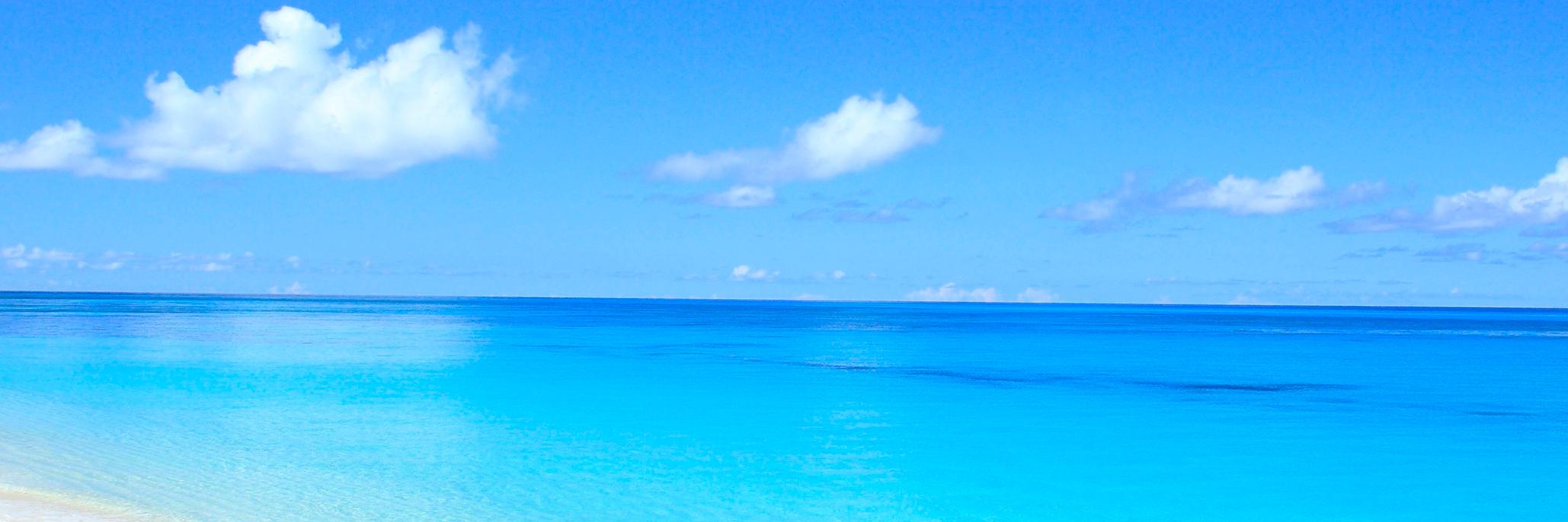 nsf1977's profile banner image