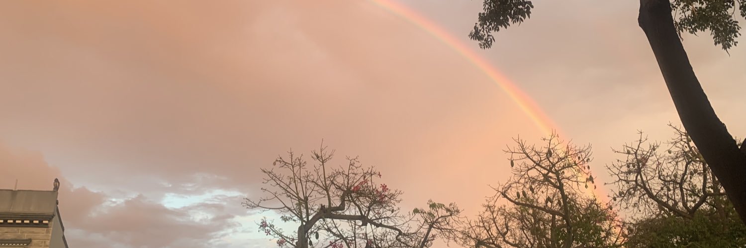JaneToomey1's profile banner image