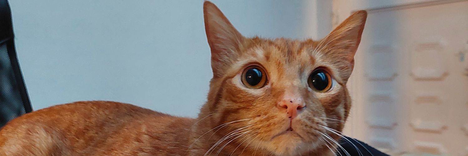its_niickyyy's profile banner image