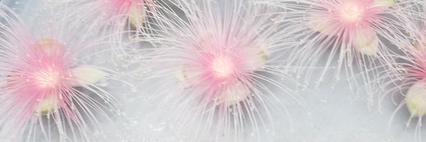 kyoto_botagrdns Profile Banner
