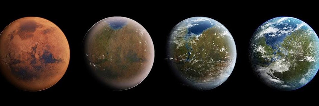 段少🎵DaDalus banner