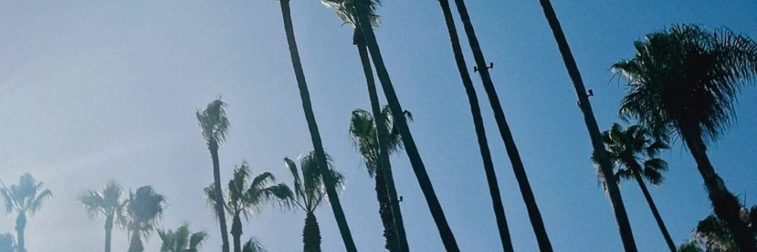 JorgFebres's profile banner image