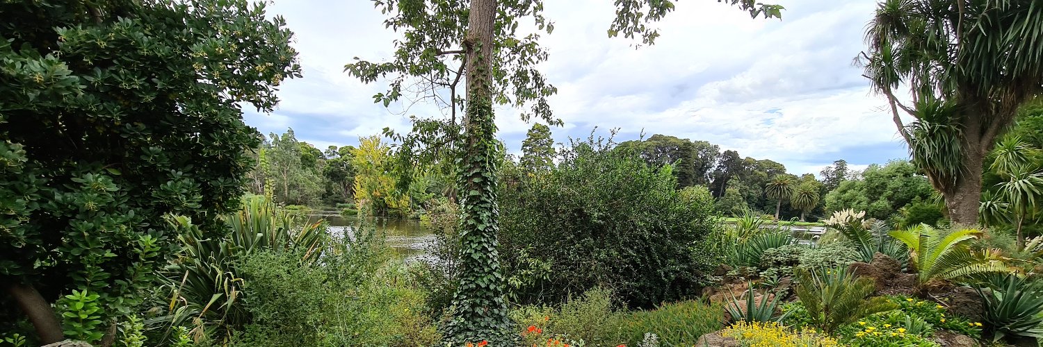 Richard Banks 👉 now at dotnet.social/@rbanks54 banner