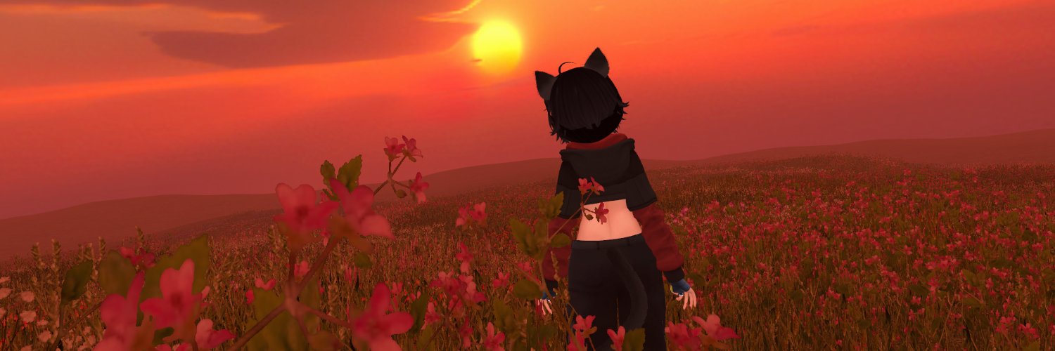 eeveil banner