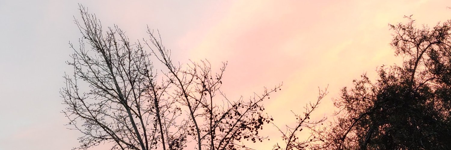 MurciaHamy's profile banner image
