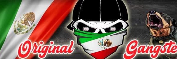 EL TRAIDOR #𝓞𝓖’𝓼𝓣𝓔𝓐𝓜🇲🇽 banner