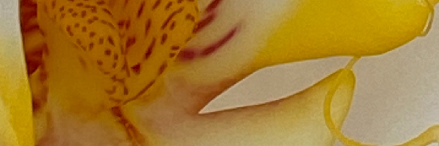 Dwayne S. Marsh banner