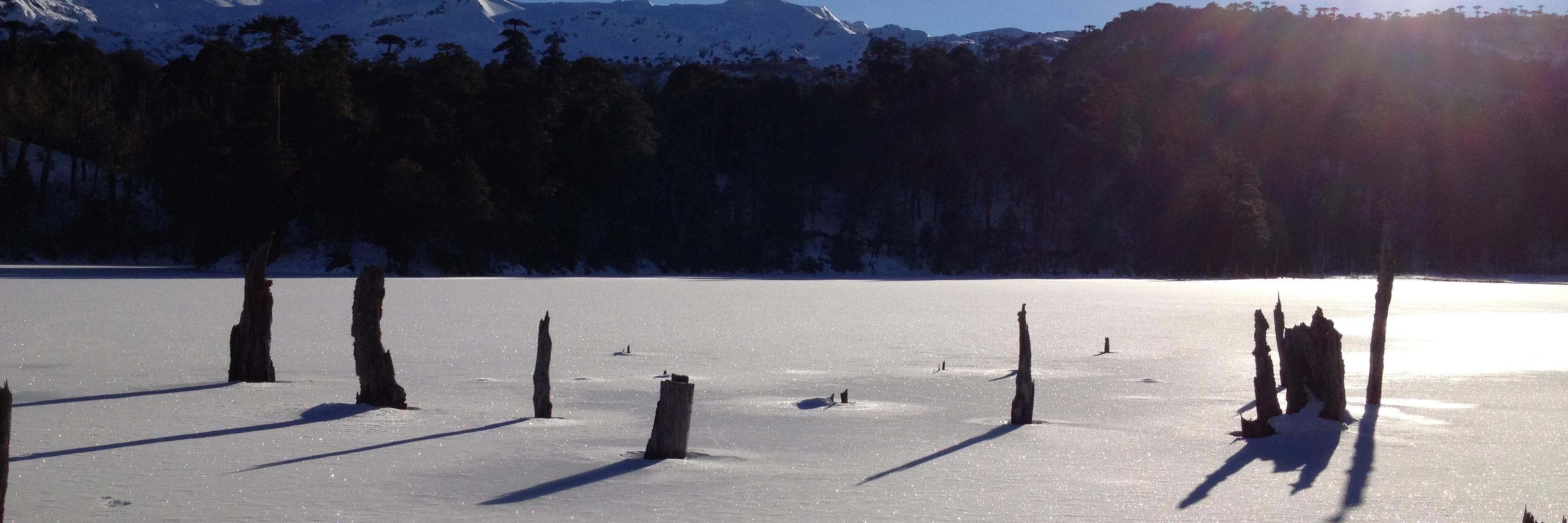 oscar commentz banner