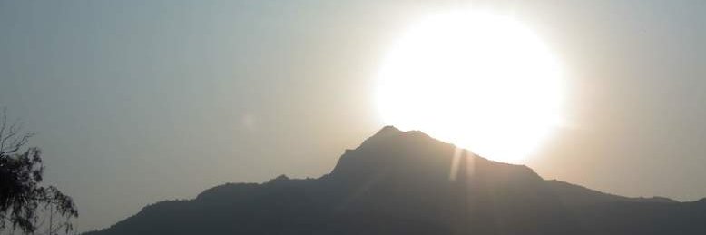 不二家憩希ॐ🇯🇵ʕ•́ᴥ•̀ʔっ🕉⛩ banner