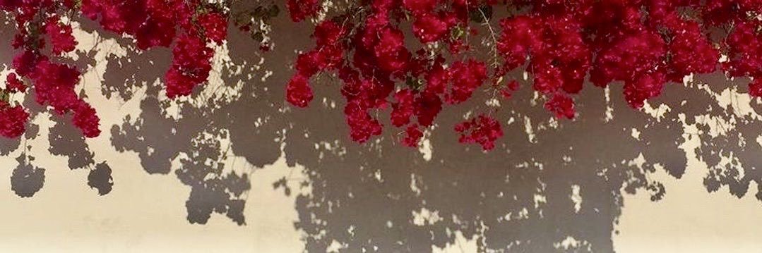 فـاء 🩶 banner