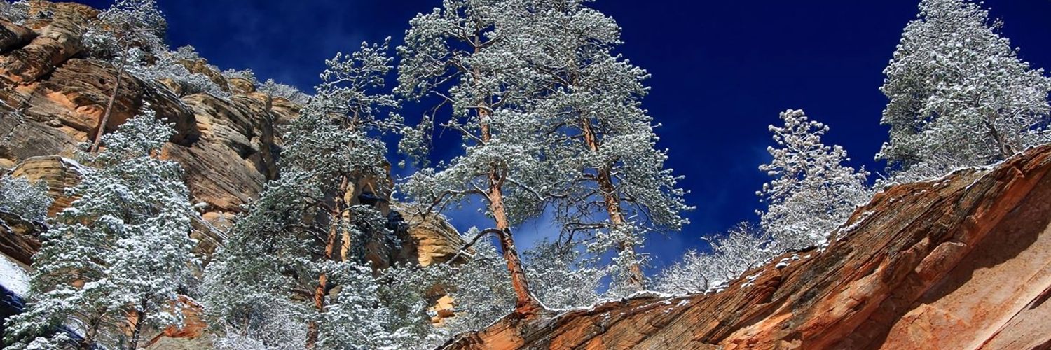 ROBERTKOROSS's profile banner image