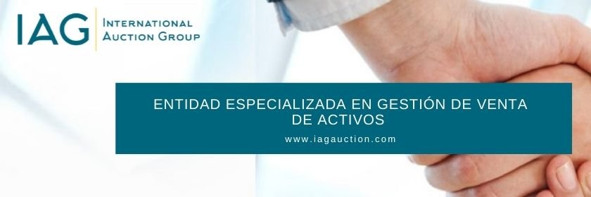 IAG Auction banner