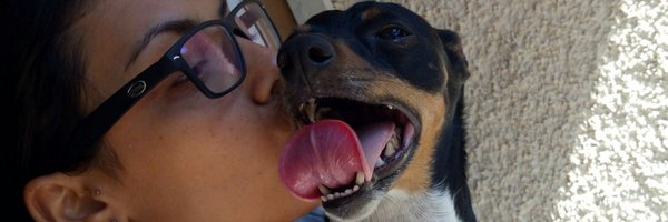 SolcitoPonce Profile Banner