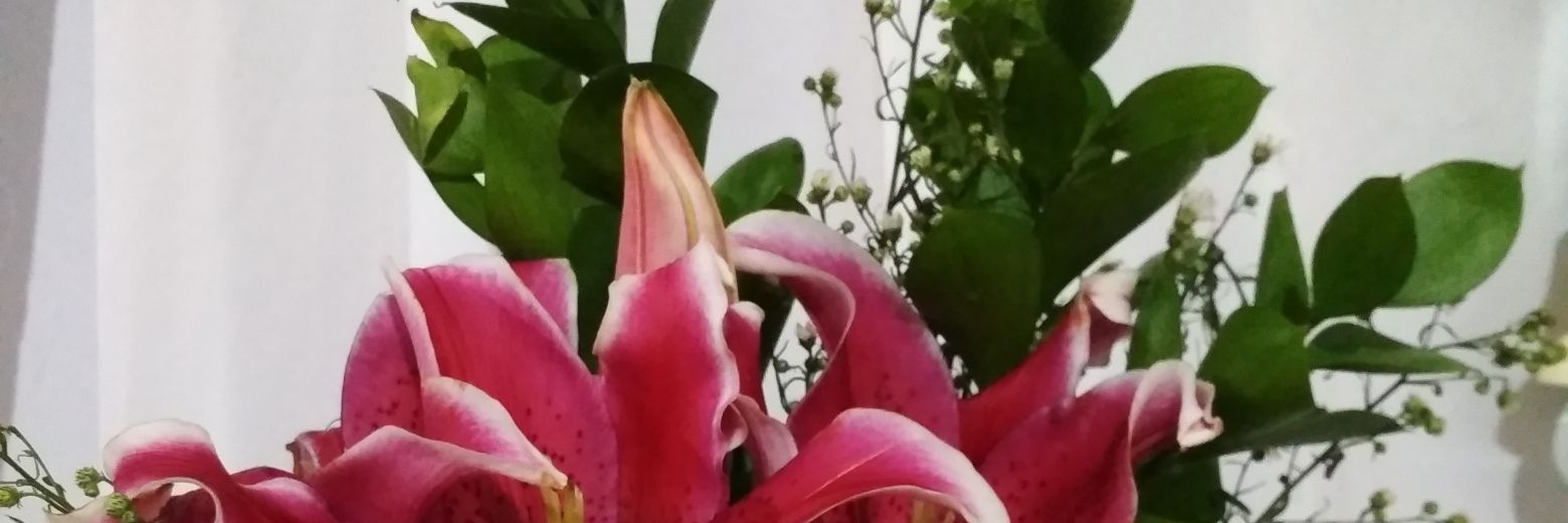 FibriyaniP's profile banner image