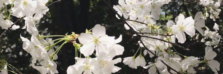 raleeezy's profile banner image
