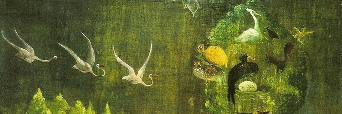 sofía banner