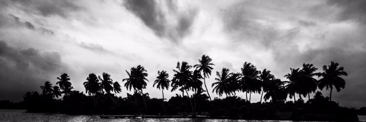 Chelsea Poppens banner