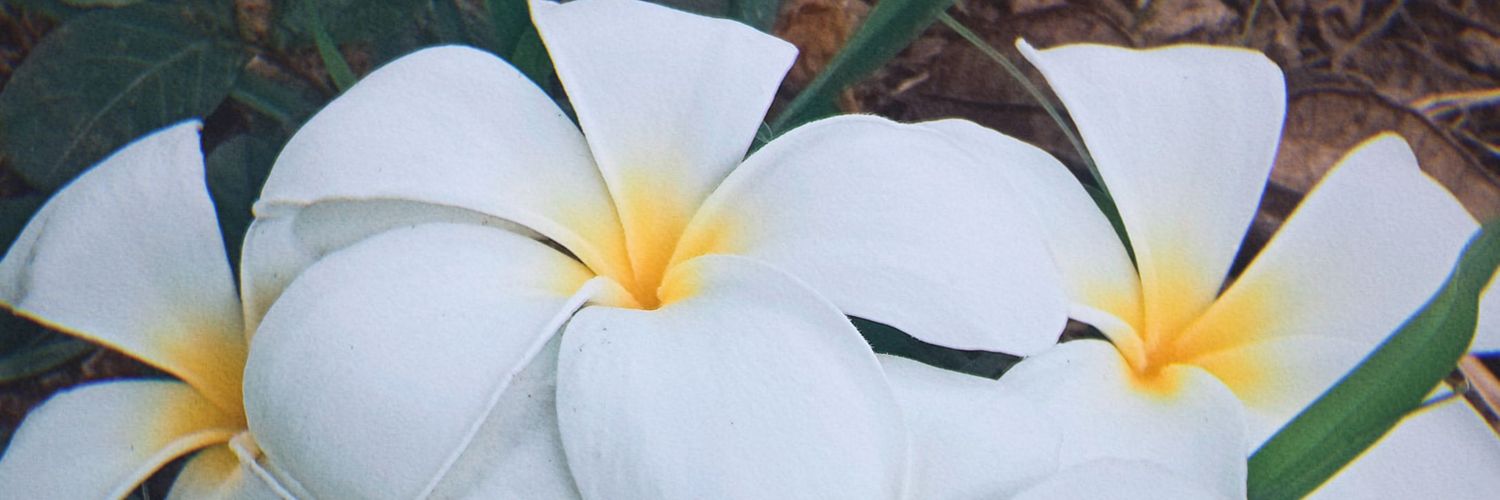 คุณพีดับเบิ้ลเค 🍀 banner