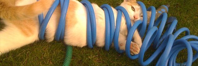 Infinite Injester banner