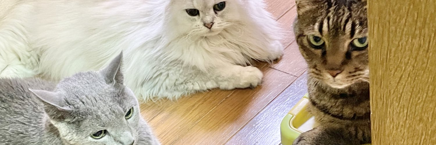2024bastet's profile banner image