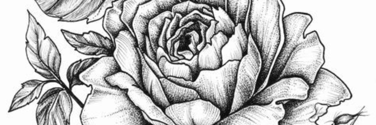 Casey_Mckenzie's profile banner image