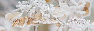 clarissasm_27's profile banner image