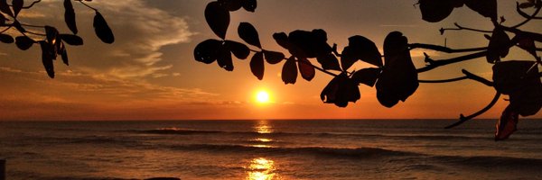 SyaNotEnaf Profile Banner