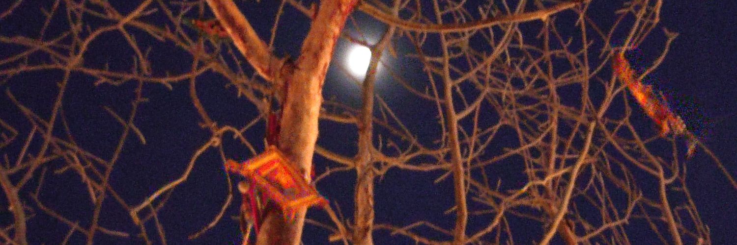 lalopachenko's profile banner image